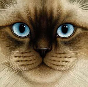 ����� � ���������� ����� � �����